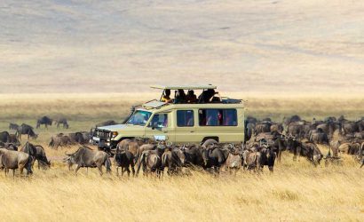 eland safari sweden