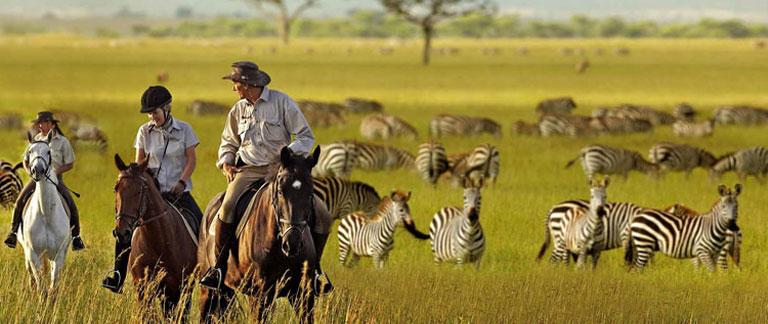 eland safari sweden